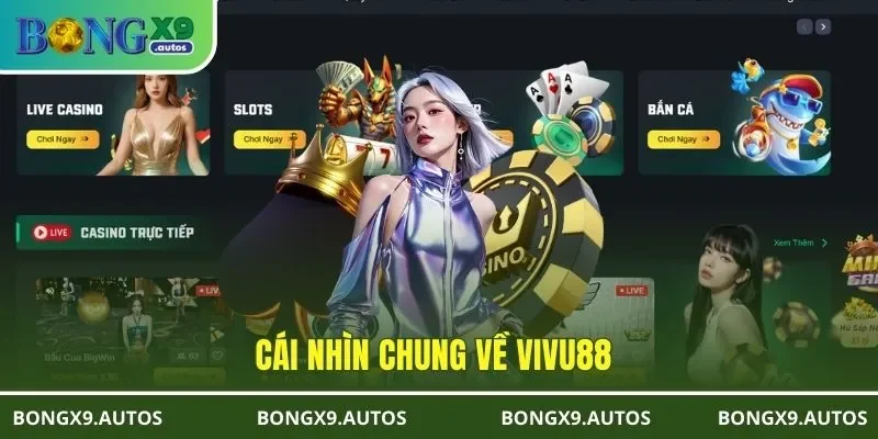 Cái nhìn chung về VIVU88